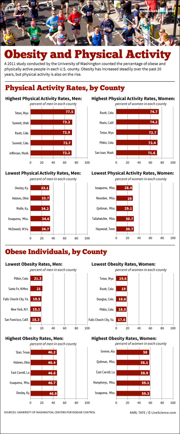 Obesity Infographic