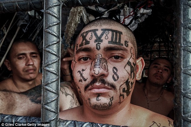 article-2405792-1B84D1C5000005DC-472_634x422