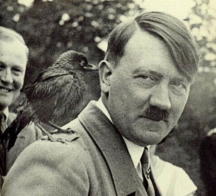 The birds loved him.