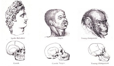races_skulls
