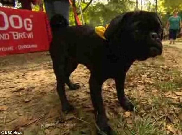 article-2538920-1AA4334E00000578-905_634x471