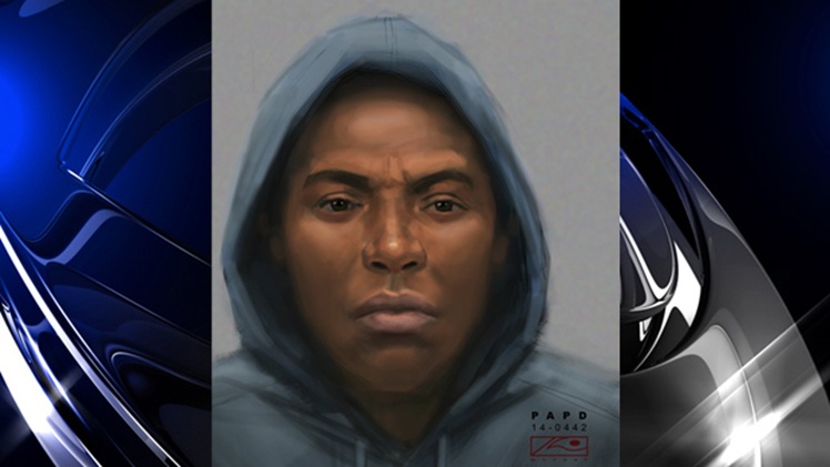 palo_alto_sketch_012514 palo_alto_sketch_012514