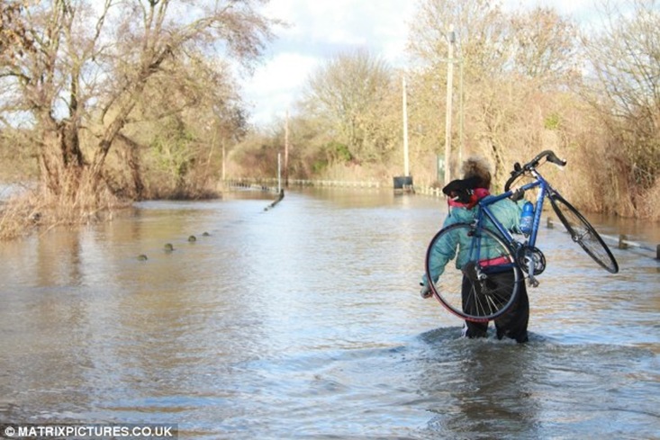 Despite the fact that water sinks into the soil under trees at 67 times the rate of soil under grass, farmers are not eligible for 'single farm payment' from the EU if the land is covered by trees Despite the fact that water sinks into the soil under trees at 67 times the rate of soil under grass, farmers are not eligible for 'single farm payment' from the EU if the land is covered by trees