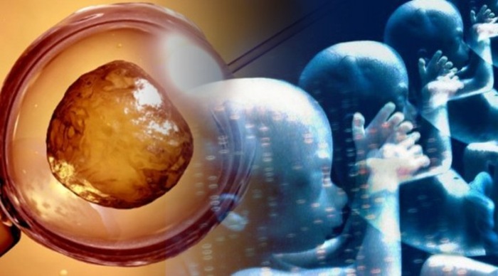 babies-672x372 babies-672x372