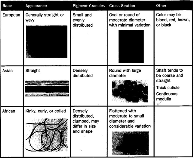 racial_ethnic_differences