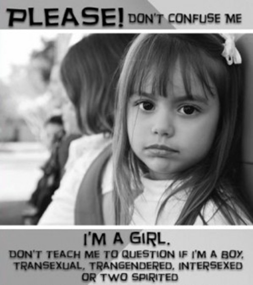 Hawkblocker-National-Post-anti-transgender-ad-crop-299x337