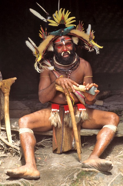 which-doctor which-doctor