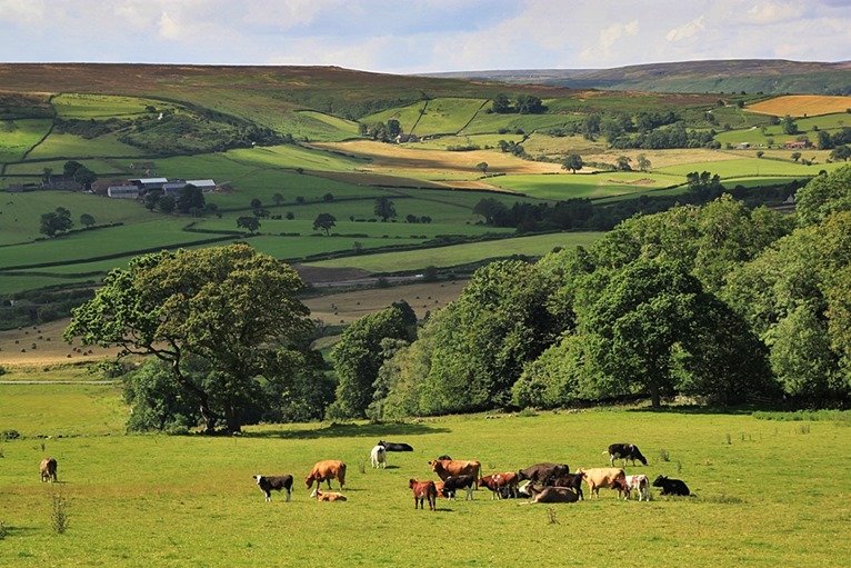 North-Yorkshire-Moors-009