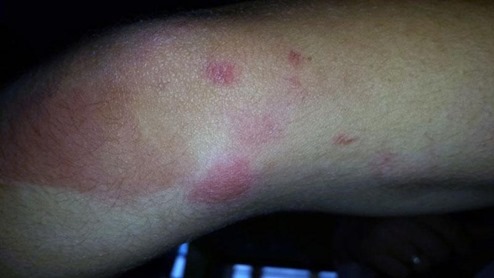 Wyatt2-jpg Wyatt2-jpg