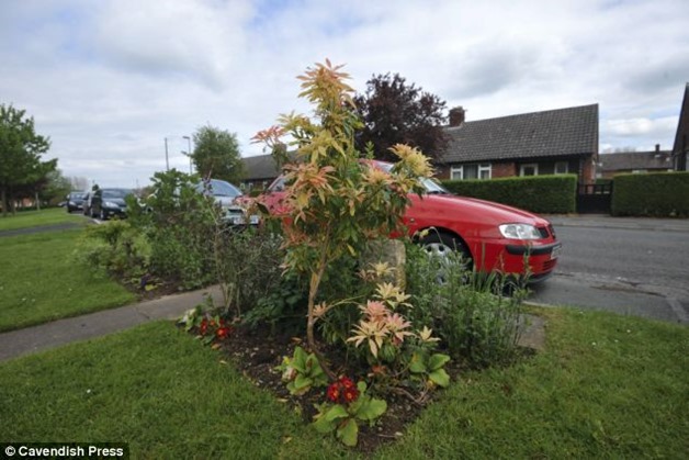 article-2621255-1D9AEEF500000578-675_634x422