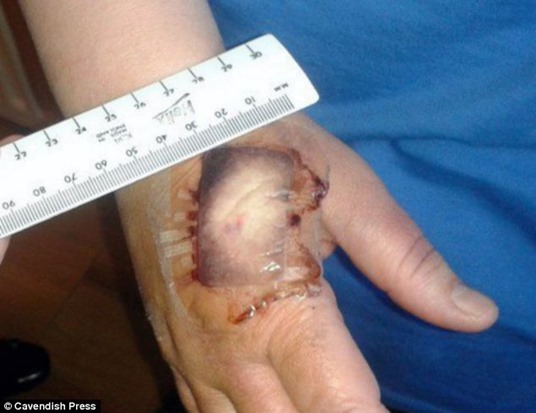 article-2630312-1DE7273300000578-432_634x489 article-2630312-1DE7273300000578-432_634x489