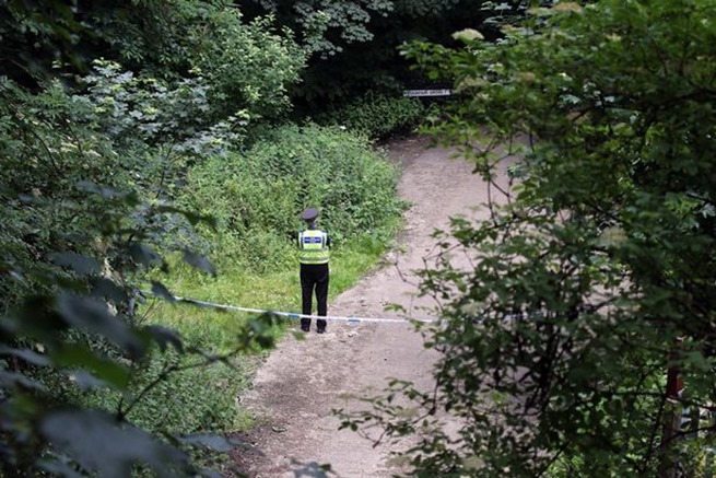 JS39959494 JS39959494