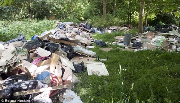 article-0-1EB28D8300000578-309_634x364 article-0-1EB28D8300000578-309_634x364