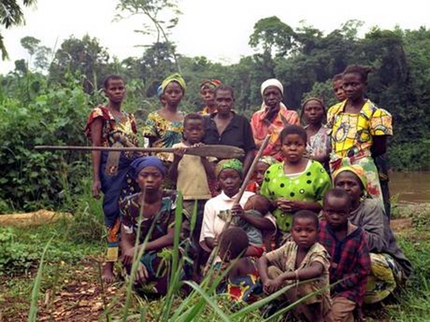 p28familFLD p28familFLD