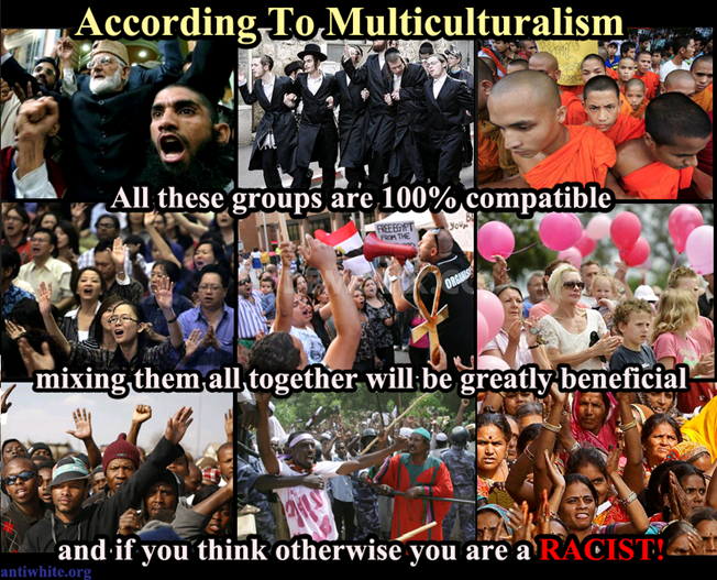 Multiculturalism is good goyim. culturaly enriched D_2ef560_4803742