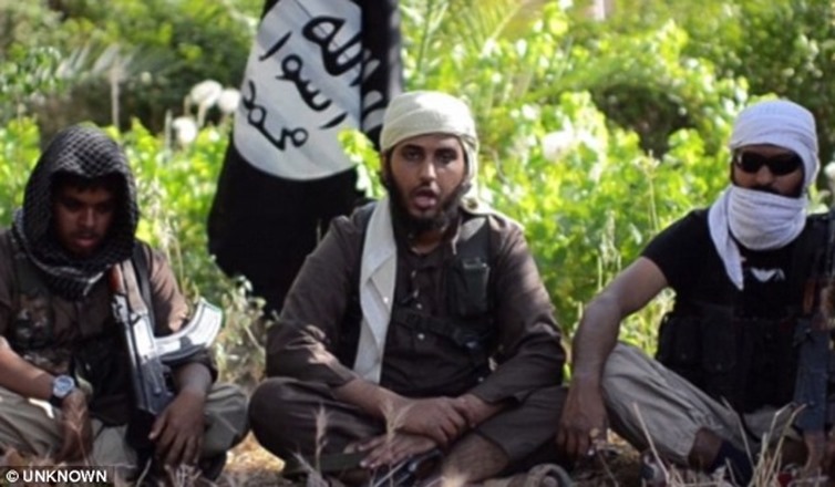 article-2681957-1F6B4E0C00000578-564_634x370