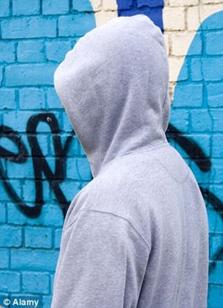 article-2690769-0B6BAAEA00000578-807_306x423