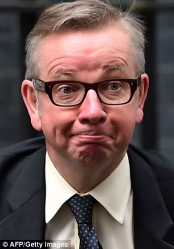 article-2699331-1FA87C0700000578-882_306x437 article-2699331-1FA87C0700000578-882_306x437