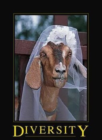 diversityposter diversityposter