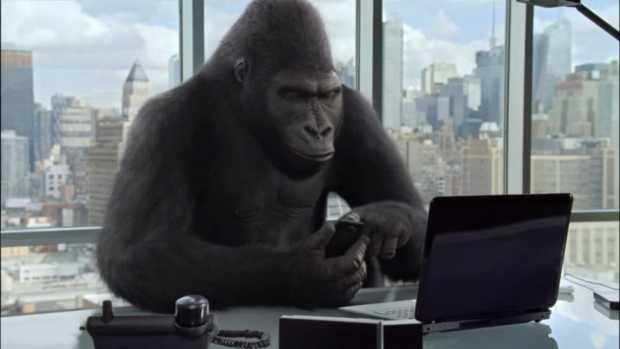 gorilla-with-computer