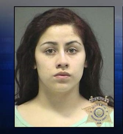 23762664_BG4 23762664_BG4