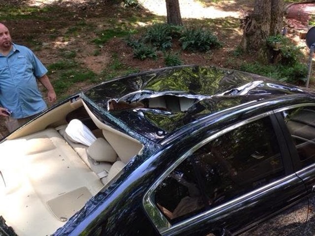 Gainesvillecar Gainesvillecar