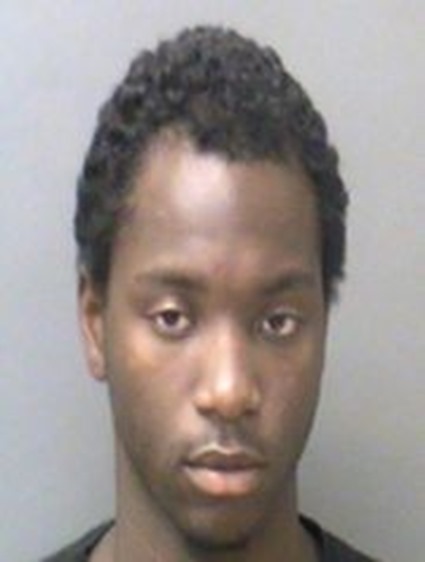 deandreplant deandreplant