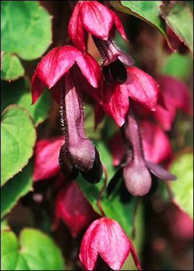 snf0716a_280_431887a