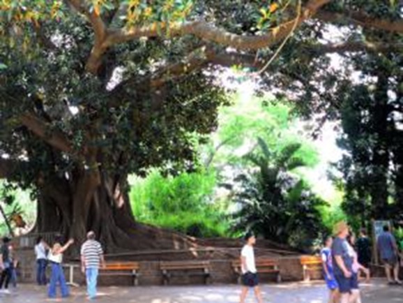 2010558891 2010558891