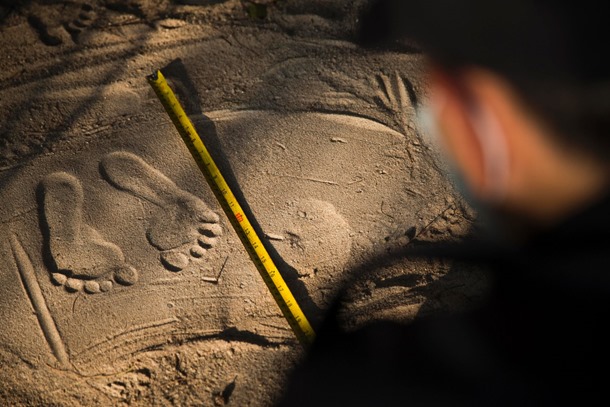 Thai-police-take-DNA-swabs