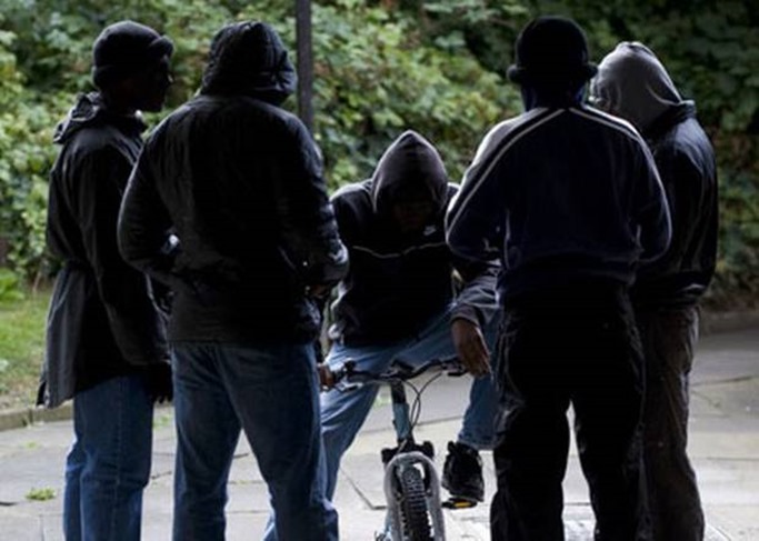 gangs1_415 gangs1_415