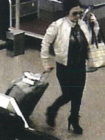 635491744570900006-Sea-TacLuggageThief 635491744570900006-Sea-TacLuggageThief