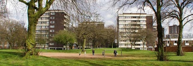 bm_iya_topic_newladywood