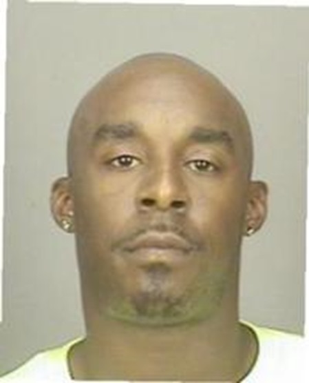 taylordante taylordante