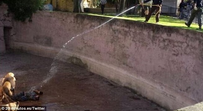 23DB1BAD00000578-2864437-image-m-33_1417992603217