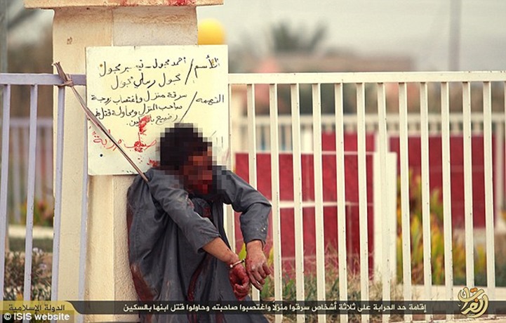 23F2A7B700000578-2868419-image-a-4_1418243487636