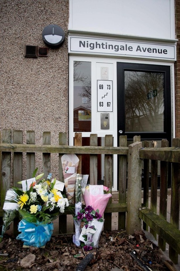 Levi-Blu (1) Levi-Blu (1)