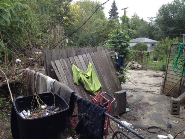 -310ca6e459a948b1 -310ca6e459a948b1