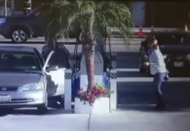 Untitled 1 Untitled 1