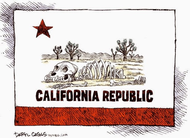 ripcalifornia