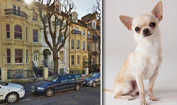 Brighton-599742 Brighton-599742