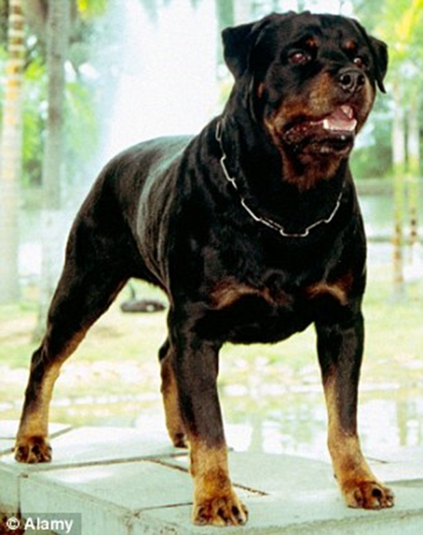 057846060000044D-0-image-a-22_1442858057809 057846060000044D-0-image-a-22_1442858057809