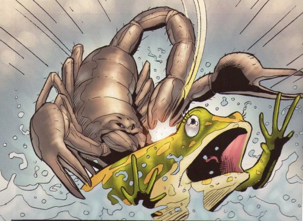 By why, kikes? Now we're both going to get shot in the streets by hajis?