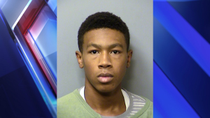 mug-shot-of-cameron-tibbs-2