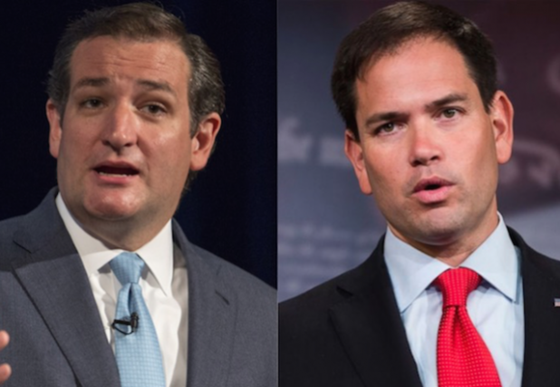 rubio-cruz-side-by-side-620x428
