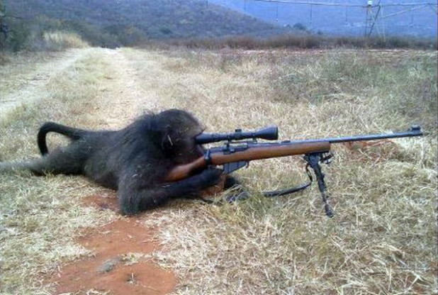 Wouldn't you feel safer with blacks protecting your nation?