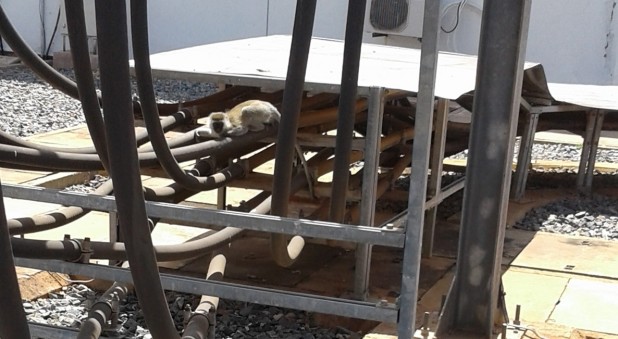 202e7031035354037c29d1d0f1f68aeb