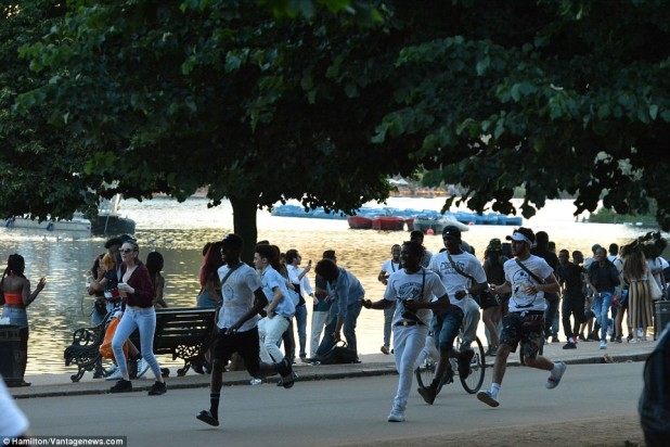 366CD03700000578-3698316-Objects_began_to_be_hurled_their_direction_and_one_officer_was_s-a-24_1468971543340