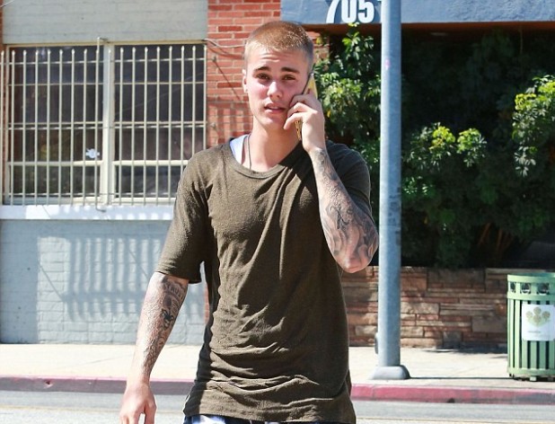 369E455C00000578-3710226-image-m-2_1469604152225