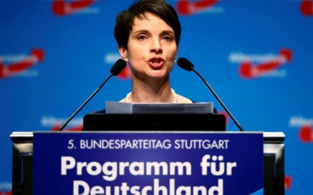 afd Petry